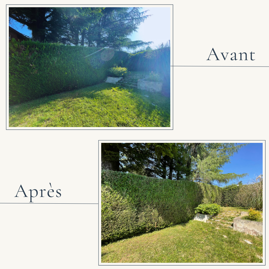 Taille de haie droite et restructuration d'arbustes par EXTEVIA paysagiste à Aix-les-Bains.