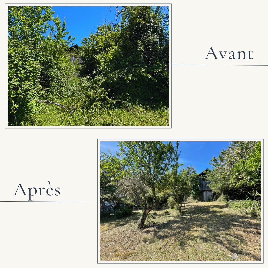 Débroussaillage intensif, élagage et abattage d'arbres par EXTEVIA à La Biolle.
