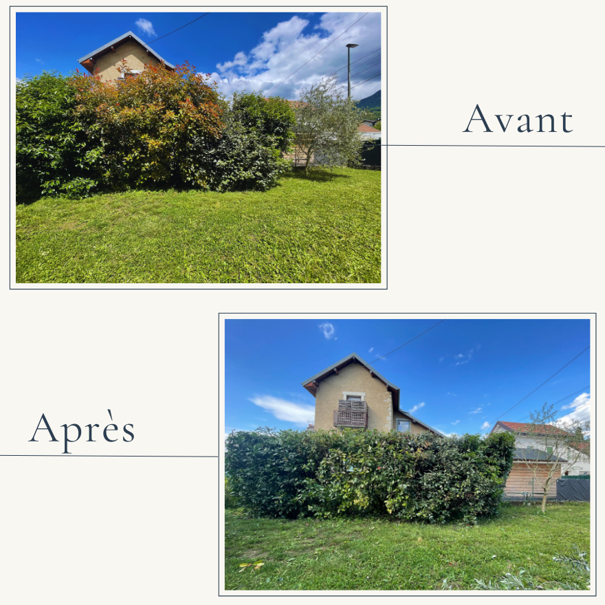 Avant/Après d'une haie de cyprès à Saint-Jean-d'Arvey. EXTEVIA Paysagiste a effectué un rabattage important en hauteur et une taille des faces.