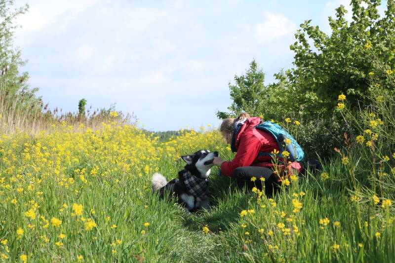 Hond word beloond voor het netjes blijven liggen