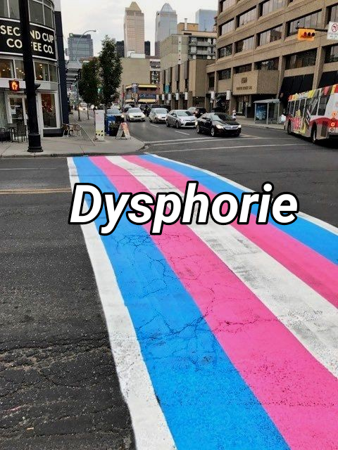 TransgenderLife