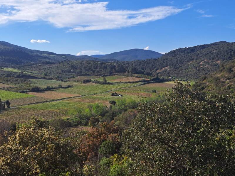 Bij de witte bus, rust, ruimte