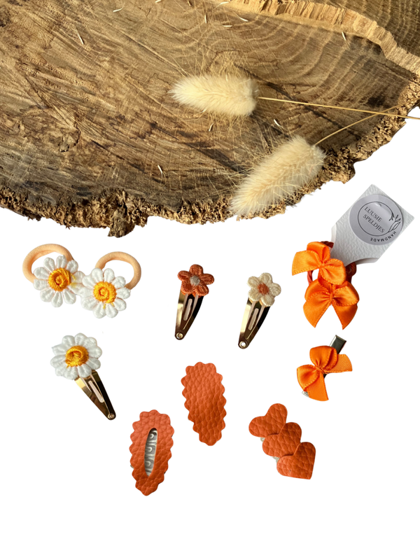 Klikklak haarspeldjes: Oranje