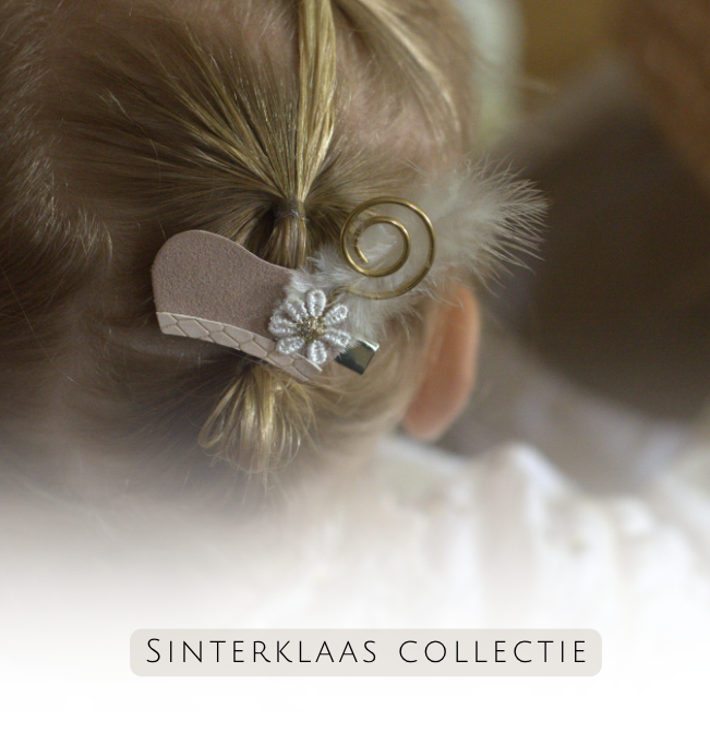 Sinterklaas collectie