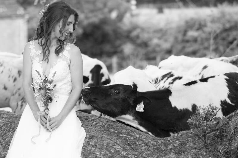 anna with the cows
