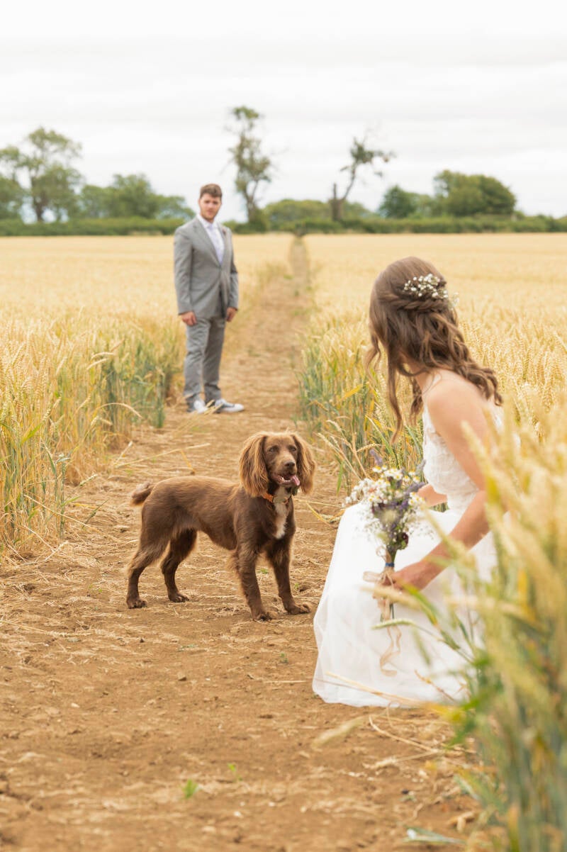 anna & stuart with ruby in the wheat fields at the courtyard barns