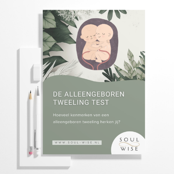 Alleengeboren tweeling test