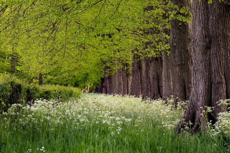 Bed and Breakfast Lutje Borg Ostfriesland Duitsland Evenburg Leer