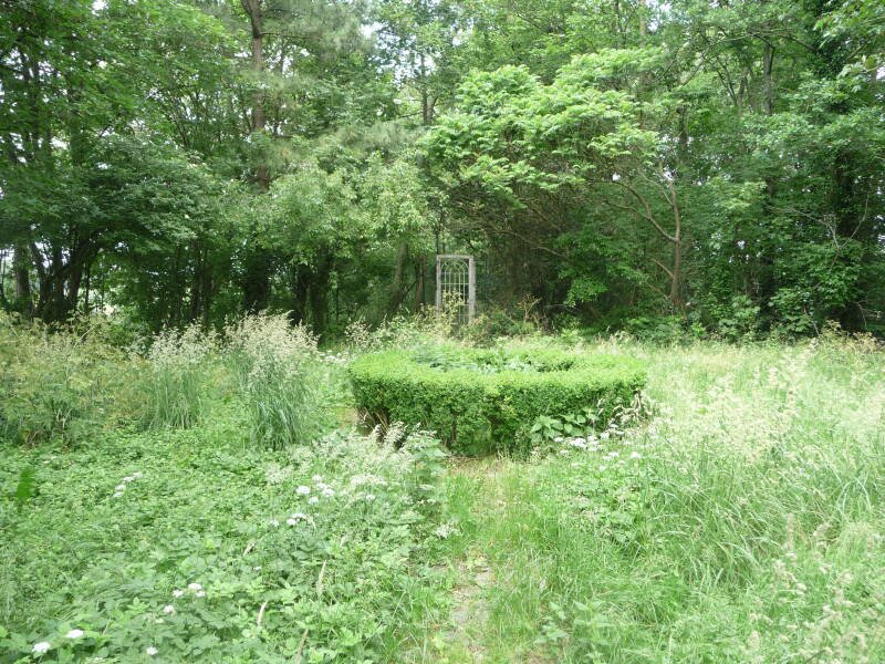 B&B Lutje Borg, Ostfriesland, Mitling-Mark, Westoverledingen, geschiedenis, 2011 de tuin