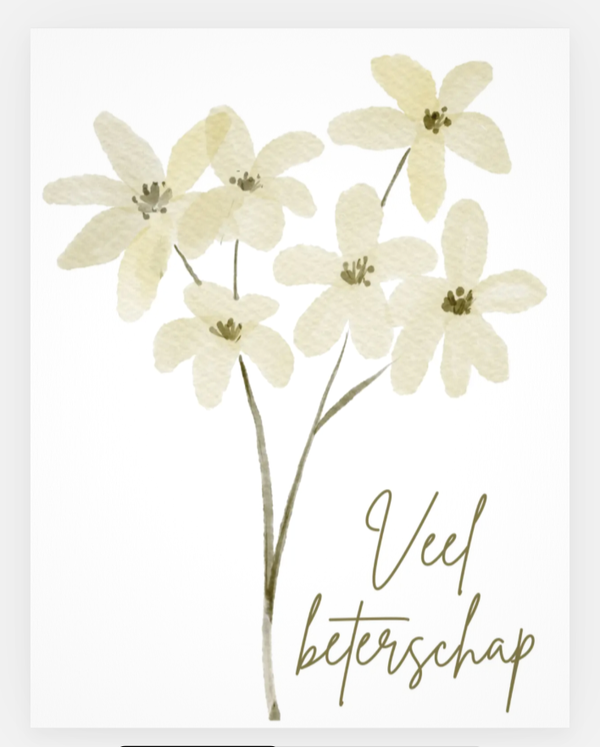 Wenskaart - Veel beterschap