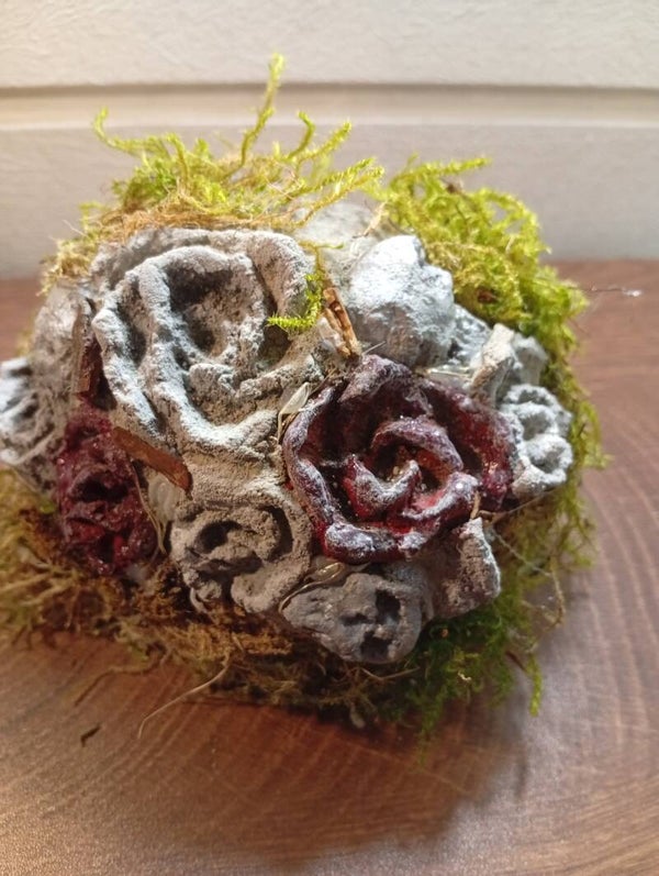 Rosenhügel