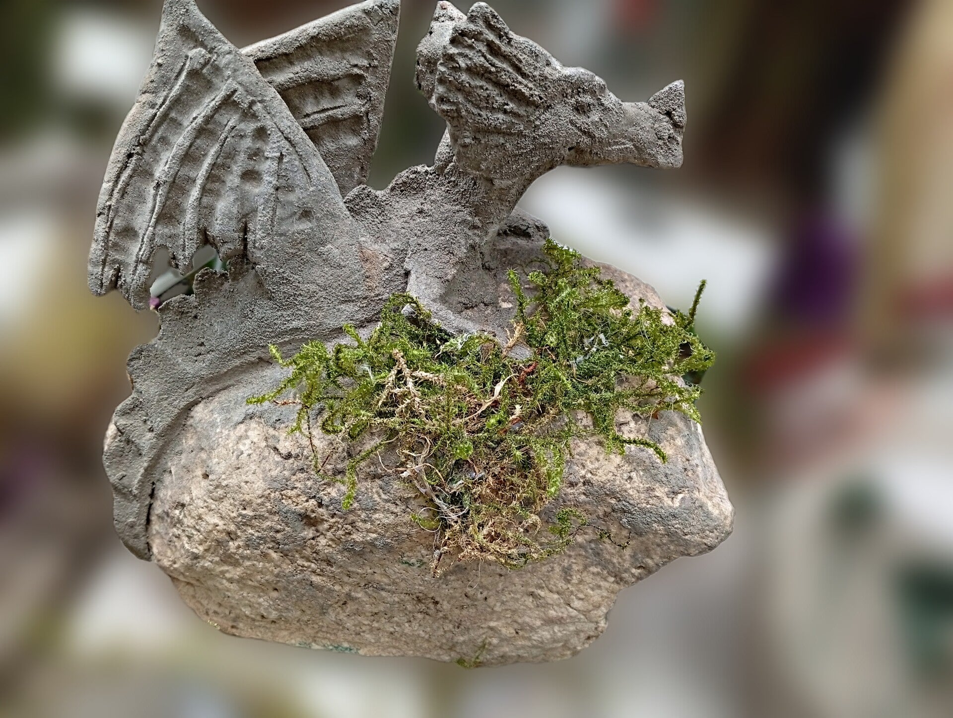 Drache aus Beton auf Naturstein