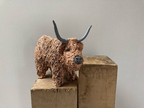 Schotse hooglander bruin/rood