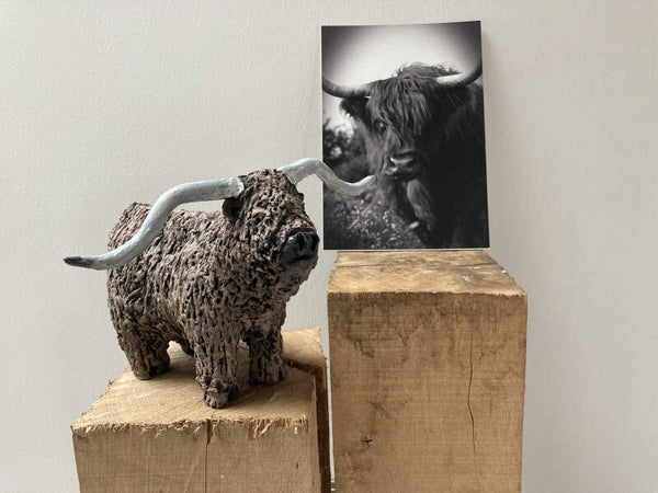 Schotse hooglander zwart/bruin