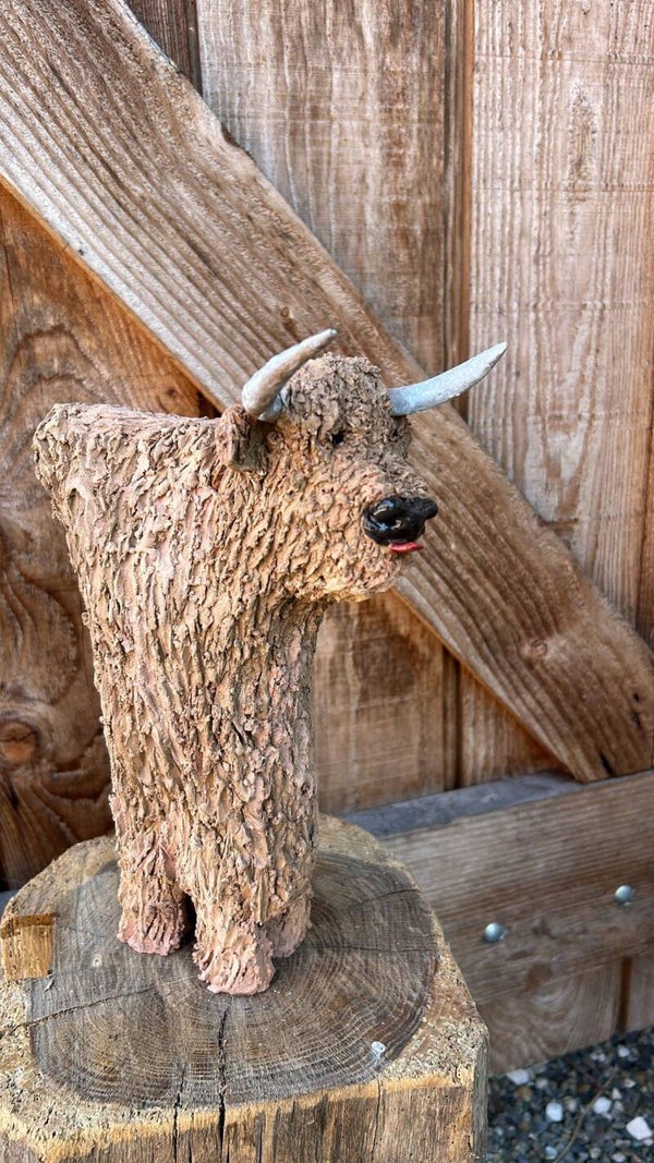 Schotse hooglander bruin