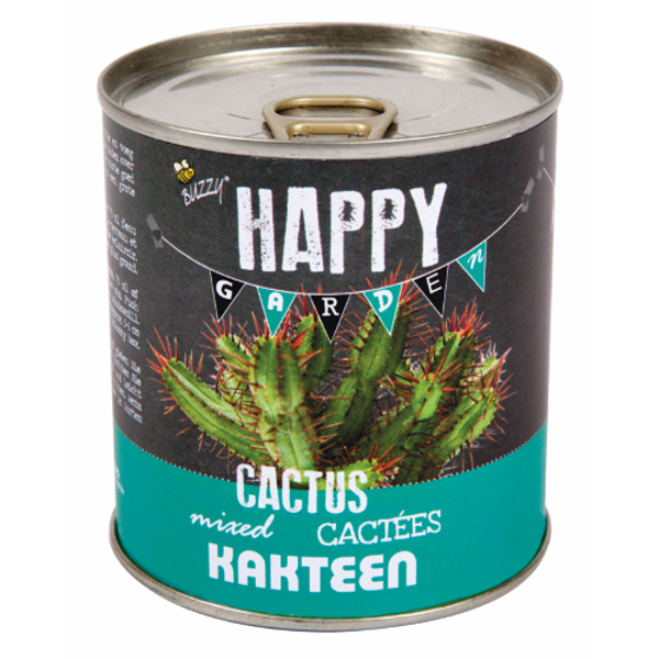 Cactus in blik buzzy