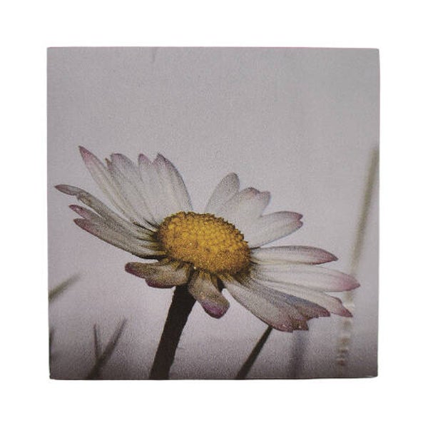 Onderzetter madeliefje