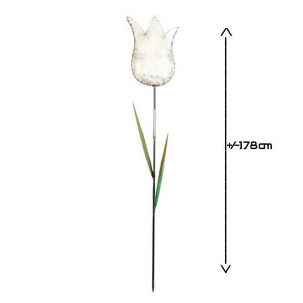 Tuinsteker tulp wit