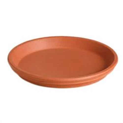 Schotel terracotta