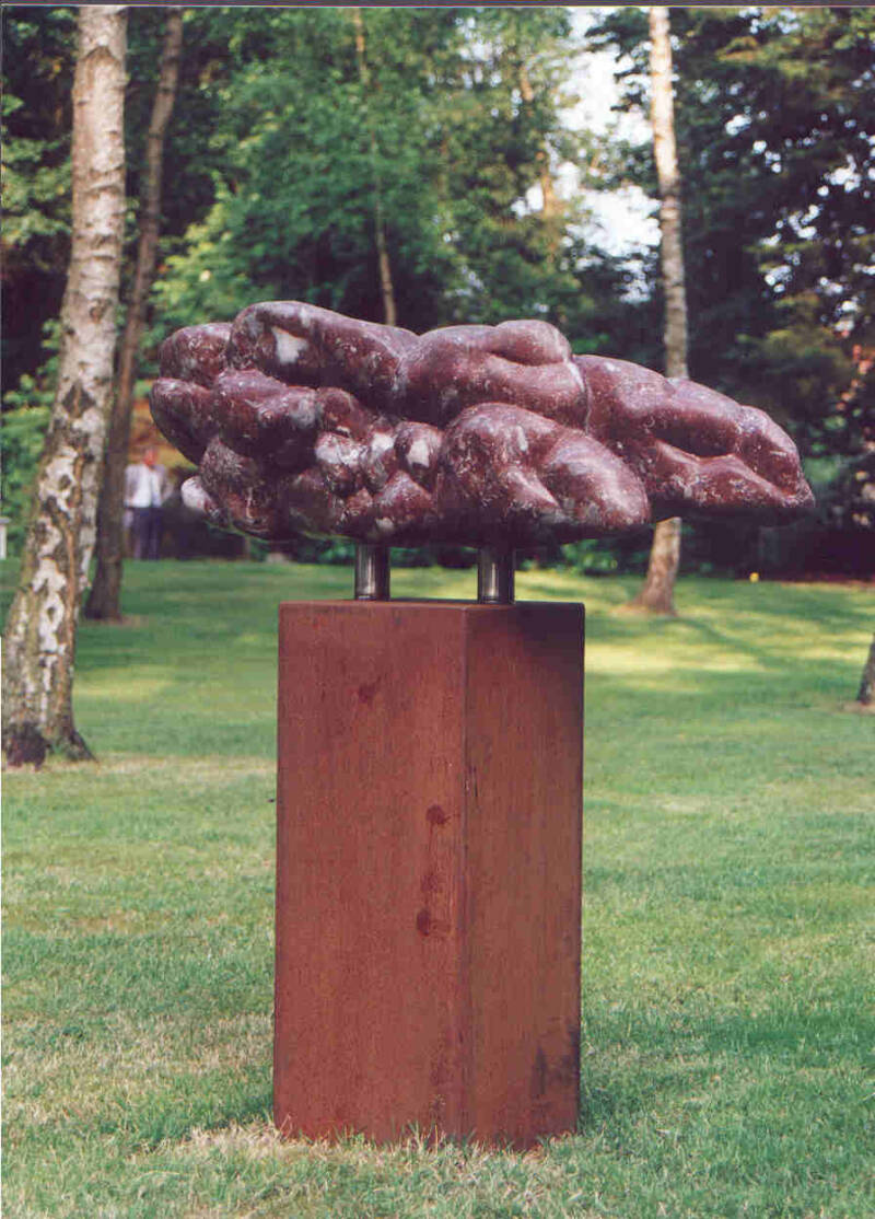 roze wolk: rouge royal