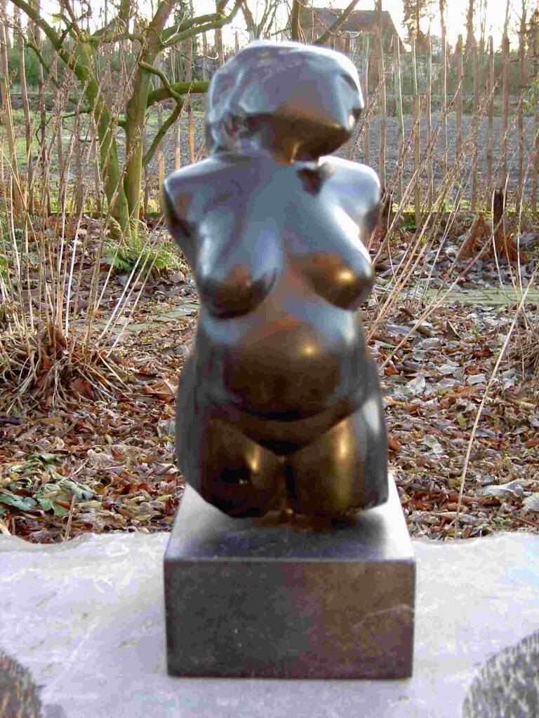 zwanger: noir-de-mazy