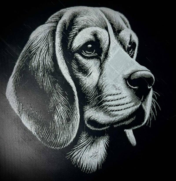 Tavla - Beagle