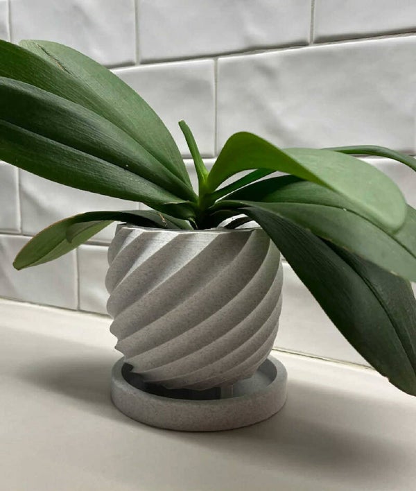 Blomkruka - spiral #2