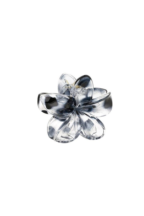 Haarklem hawaii - grijs