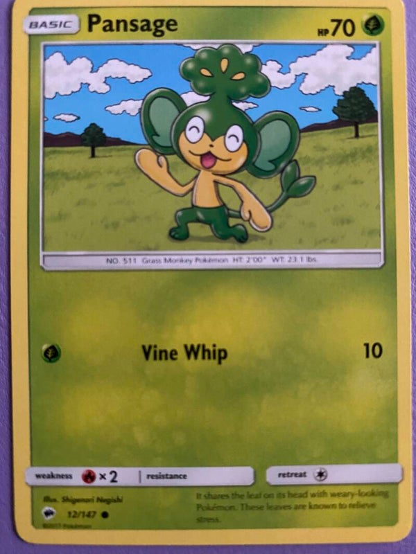 Pansage 12/147