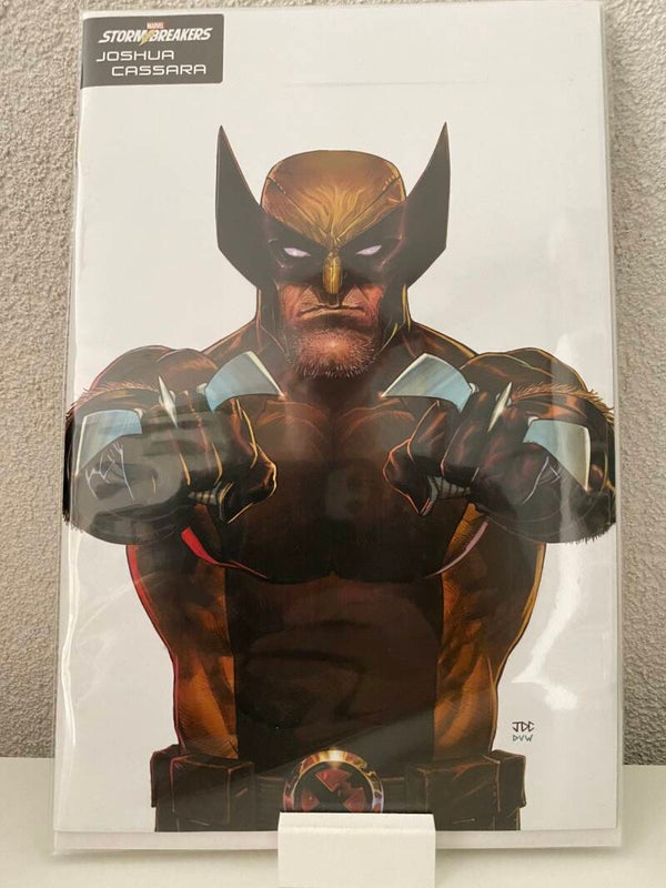 X Lives of Wolverine #1 - Cassara Stormbreakers Variant
