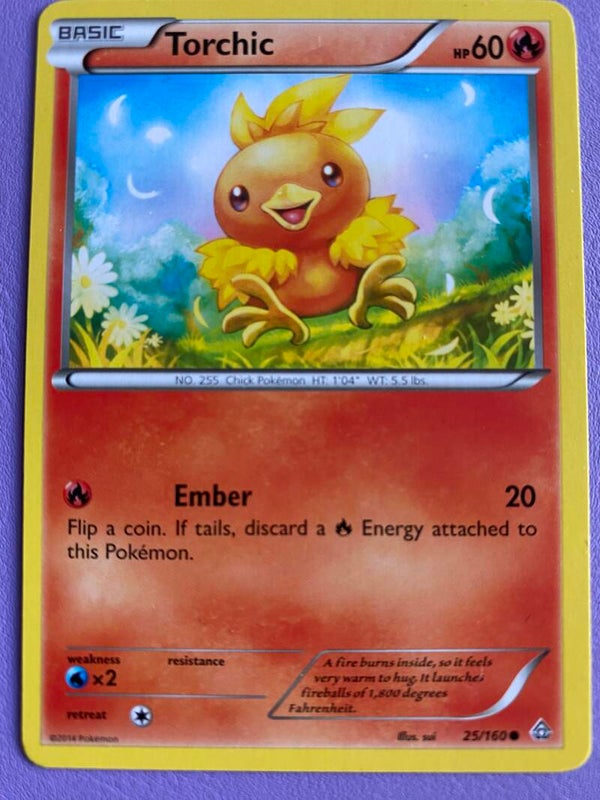 Torchic 25/160