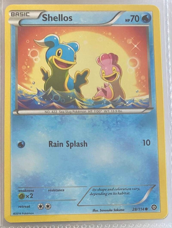 Shellos 28/114