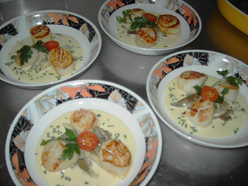 Coquilles met witloof