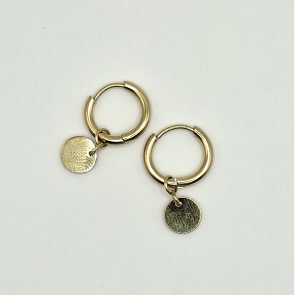 Oorringetjes met coin, gold look