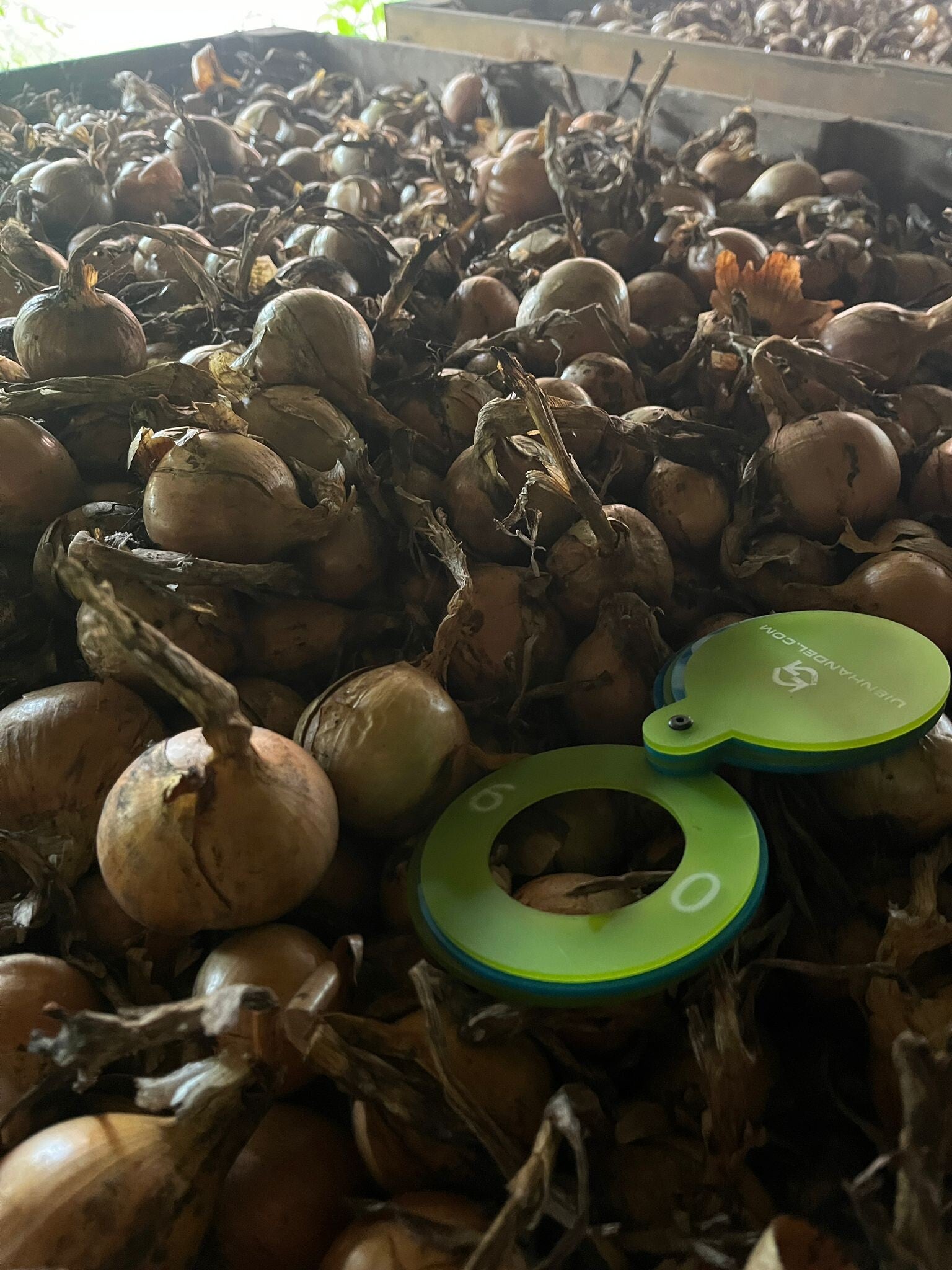 2 AUTO'S VENTO OP DECEMBER