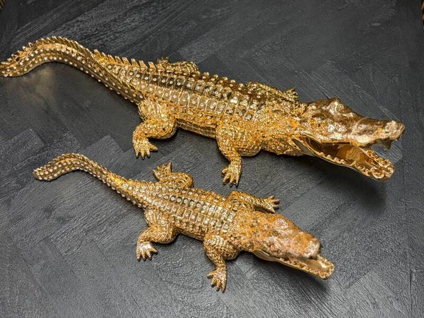 Krokodil decoratie goudkleurig