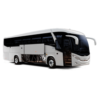 Autocar 36-50 places