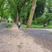 1000019538-standard.jpg