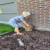 20250901_105410-standard.jpg