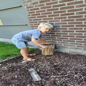 20250901_105414-standard.jpg
