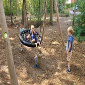 20250905_105451-standard.jpg