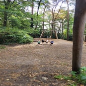 20250905_110616-standard.jpg
