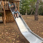 img_1168-standard-cw29l0.jpg