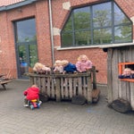 img_1168-standard.jpg