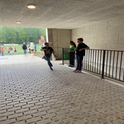 img_1246-standard.jpg