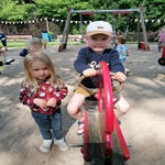 img_20240606_111559-standard.jpg