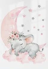 Lot bodies manches longues bébé (0-9M)