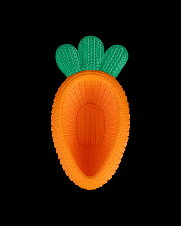 Carrot Bowl