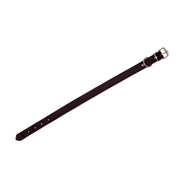 COLLAR PERRO CUERO ENGRA.NEGRO ARPPE 40X1,8 CM 2157014009