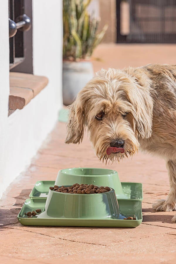 COMEDERO MASCOTAS GRANDE PETS CLUB - 11587